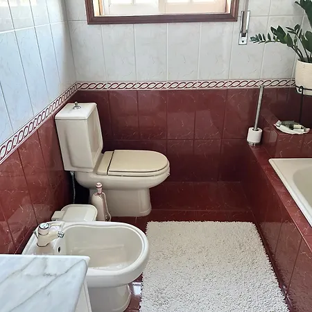 Oliveiras * Canedo (Aveiro)