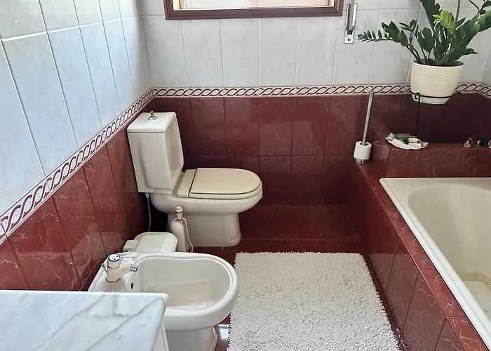 Oliveiras * Canedo (Aveiro)